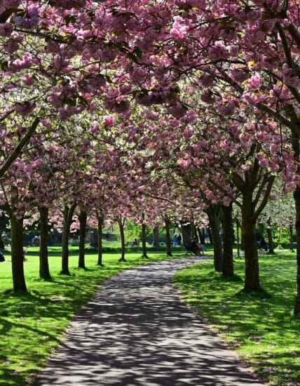 Herbert Park, Ballsbridge, Co Dublin_master