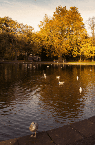 St Stephens Green