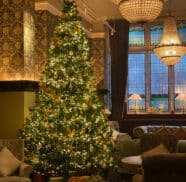 CHRISTMAS TREE THE FLEET